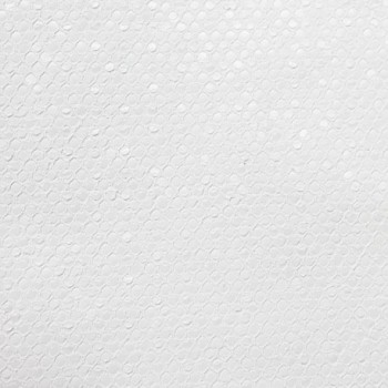 FOND D'ÉCRAN ADRIANI & ROSSI SERPENT