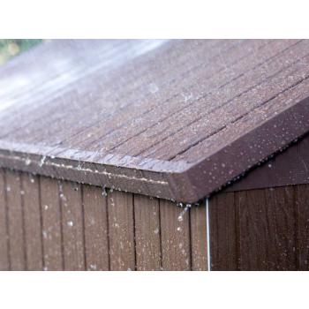 Abri à outils DARWIN KETER