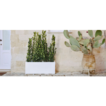 MEXICO JARDINIÈRE ET LAMPE RÉFRIGÉRANTE À CHAMPAGNE AVEC LED RECHARGEABLE 70009LED QEEBOO