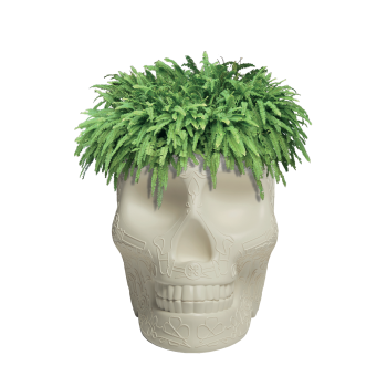 MEXICO JARDINIÈRE ET REFROIDISSEUR À CHAMPAGNE 70007 QEEBOO