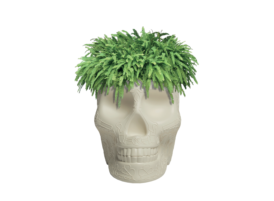 MEXICO JARDINIÈRE ET REFROIDISSEUR À CHAMPAGNE 70007 QEEBOO