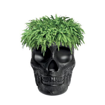 MEXICO JARDINIÈRE ET REFROIDISSEUR À CHAMPAGNE 70007 QEEBOO