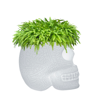 MEXICO JARDINIÈRE ET LAMPE RÉFRIGÉRANTE À CHAMPAGNE AVEC LED RECHARGEABLE 70009LED QEEBOO