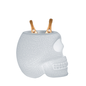 MEXICO JARDINIÈRE ET LAMPE RÉFRIGÉRANTE À CHAMPAGNE AVEC LED RECHARGEABLE 70009LED QEEBOO