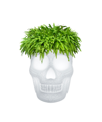 MEXICO JARDINIÈRE ET LAMPE RÉFRIGÉRANTE À CHAMPAGNE AVEC LED RECHARGEABLE 70009LED QEEBOO