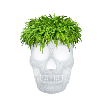 MEXICO JARDINIÈRE ET LAMPE RÉFRIGÉRANTE À CHAMPAGNE AVEC LED RECHARGEABLE 70009LED QEEBOO