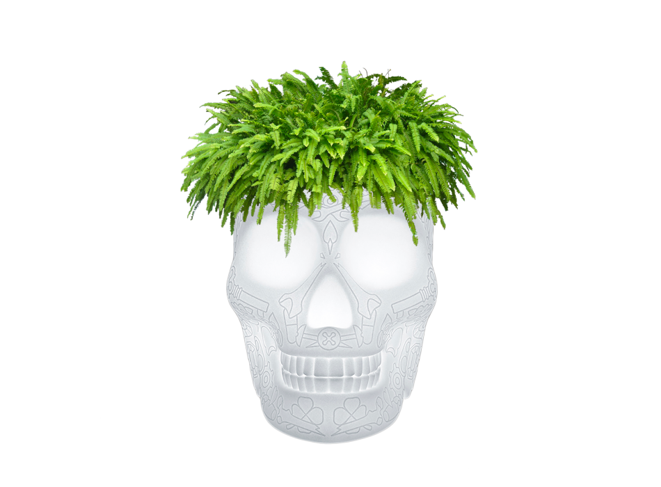 MEXICO JARDINIÈRE ET LAMPE RÉFRIGÉRANTE À CHAMPAGNE AVEC LED RECHARGEABLE 70009LED QEEBOO