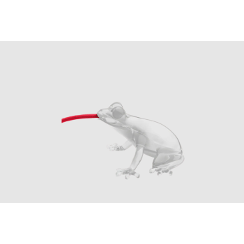 Lampe Grenouille Affamée QEEBOO