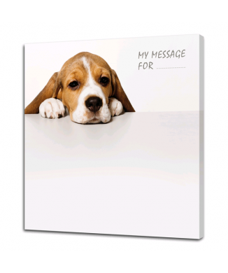 Tableau noir CHIEN G4646 PINTDECOR