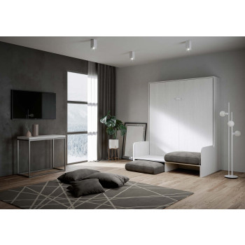 Lit double escamotable Kentaro 160 avec canapé - Lit double escamotable Kentaro 160 avec canapé en frêne blanc, gris
