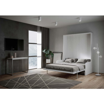 Lit double escamotable Kentaro 160 avec canapé - Lit double escamotable Kentaro 160 avec canapé en frêne blanc, gris