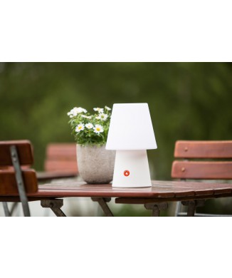 N° 1 30cm 32542 Motif 8 saisons