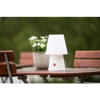 N° 1 30cm 32542 Motif 8 saisons