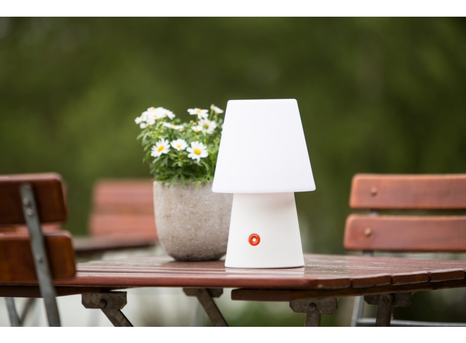 N° 1 30cm 32542 Motif 8 saisons