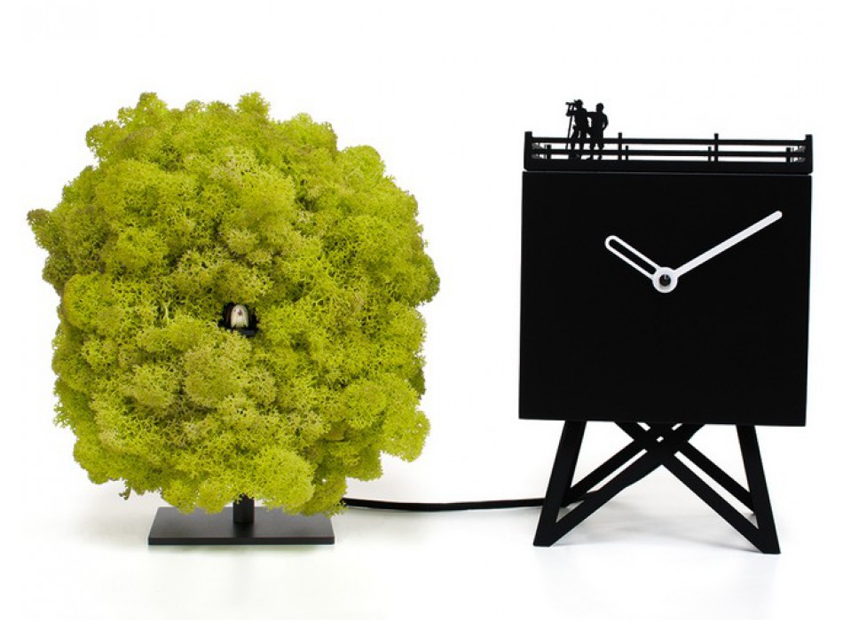 HORLOGE D'OBSERVATION D'OISEAUX MOD. 2240 PROJETS