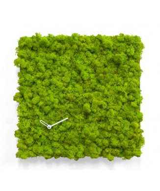 CERCLE D'HORLOGE MOD.2177 / 2175 PROJETS