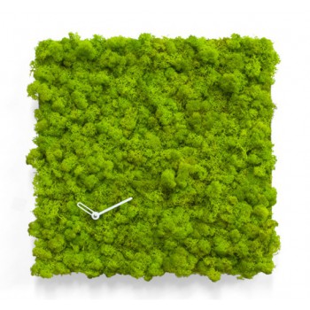 CERCLE D'HORLOGE MOD.2177 / 2175 PROJETS