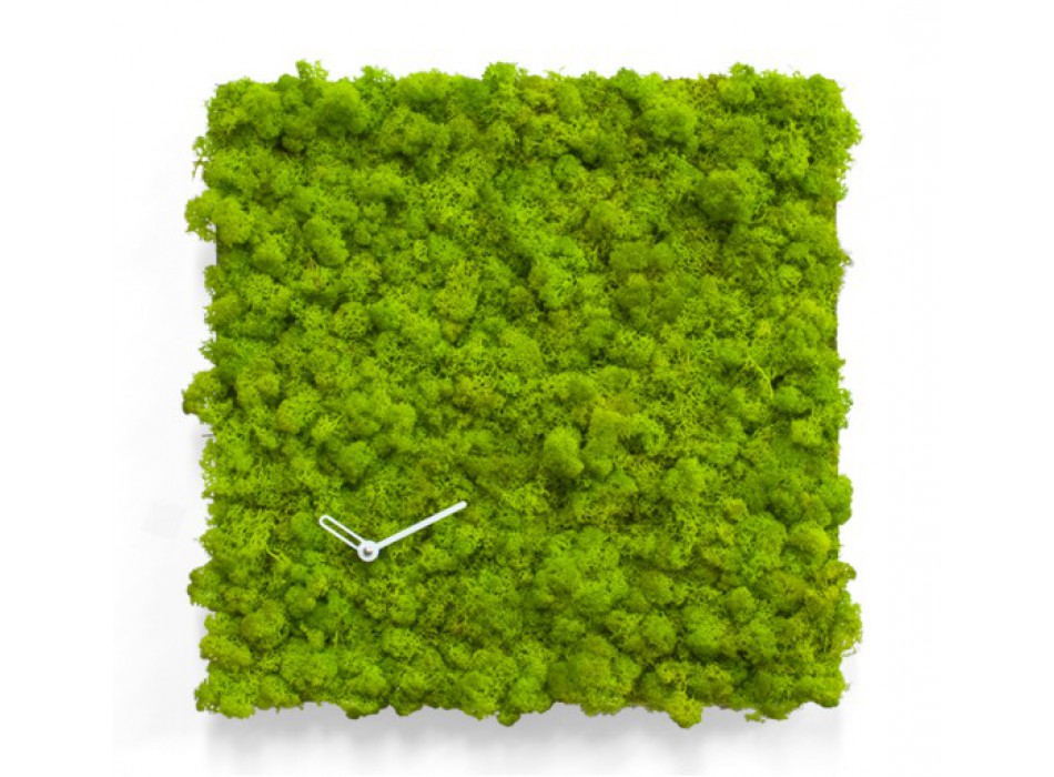 CERCLE D'HORLOGE MOD.2177 / 2175 PROJETS