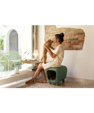 Diapositive Pancuccia SD PET040