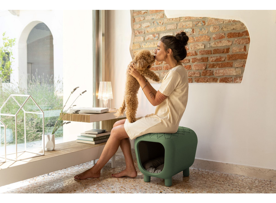 Diapositive Pancuccia SD PET040
