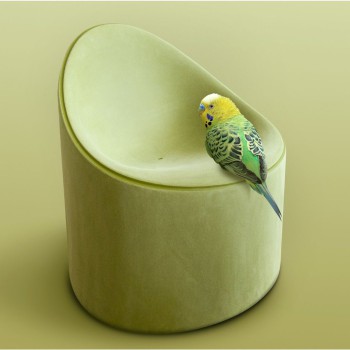 FAUTEUIL BAY MOLESKIN SERRALUNGA