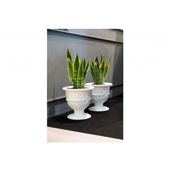 POT D'AMOUR SD POL035 DIAPOSITIVE