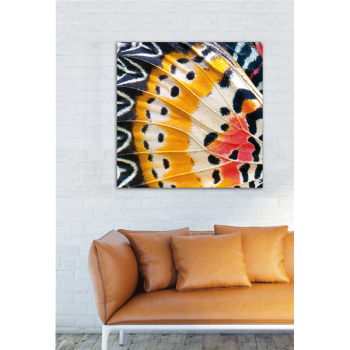 Cadre PAPILLON AILES G2084 PINTDECOR