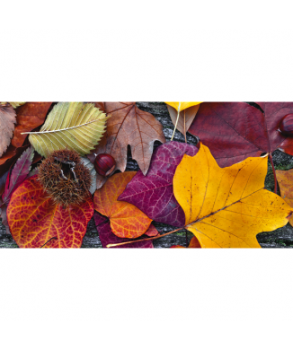 Cadre AUTOMNE G1104 PINTDECOR