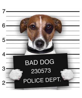 Cadre BAD DOG G2054 PINTDECOR