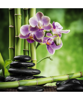 Cadre BAMBOU G2246 PINTDECOR