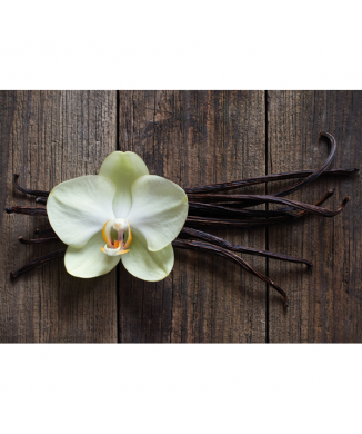 Photo BÂTONNETS DE VANILLE G1968 PINTDECOR