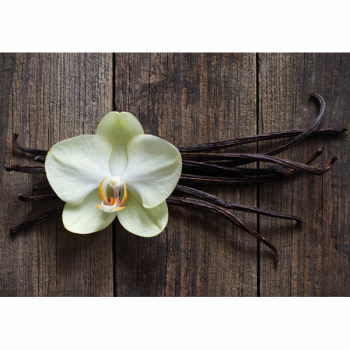 Photo BÂTONNETS DE VANILLE G1968 PINTDECOR