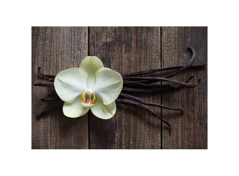 Photo BÂTONNETS DE VANILLE G1968 PINTDECOR