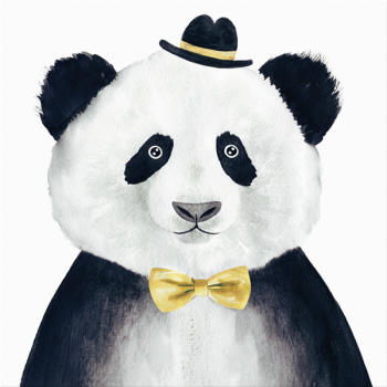 Photo BIBO G3386 PINTDECOR