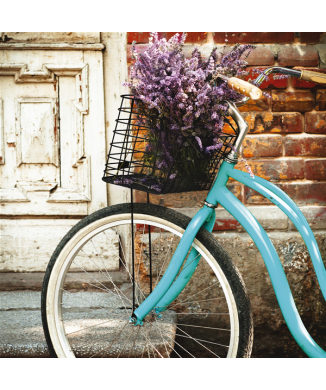 Cadre BIKE TURQUOISE G1076 PINTDECOR