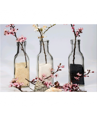 Image BOUTEILLES G5886 PINTDECOR