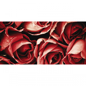 Cadre RED BOUQUET G1092 PINTDECOR