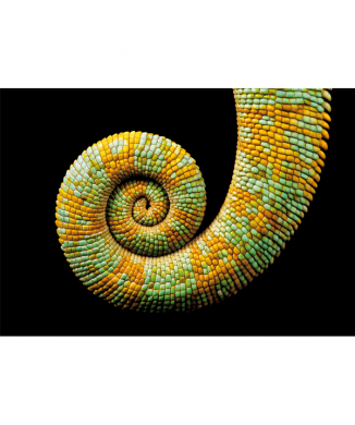 Cadre CHAMELEON G3246 PINTDECOR