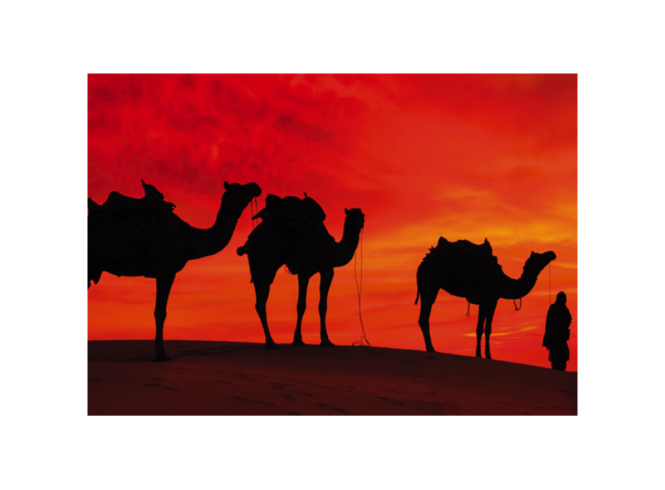 Cadre CAMELS IN THE DESERT G2030 PINTDECOR