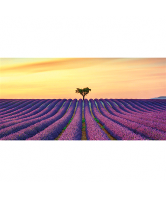 Cadre INFINITE FIELDS G4138 PINTDECOR