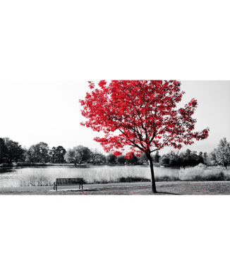 Cadre CENTRAL PARK G2524 PINTDECOR