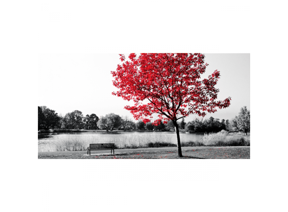 Cadre CENTRAL PARK G2524 PINTDECOR