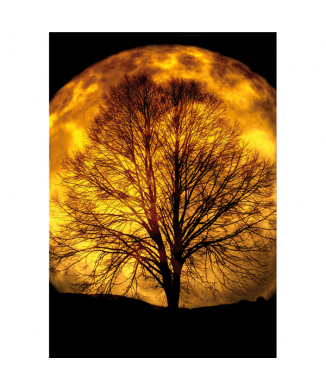 Cadre MOONLIGHT G5786 PINTDECOR