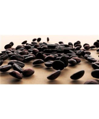 Image HARICOTS G5872 PINTDECOR