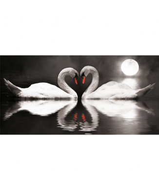 Cadre SWANS IN LOVE G2540 PINTDECOR