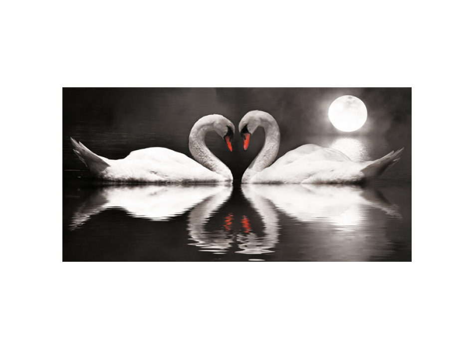 Cadre SWANS IN LOVE G2540 PINTDECOR