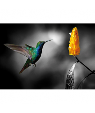 Cadre COLIBRI 2 G3344 PINTDECOR