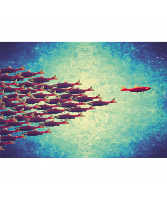 Cadre CONTRE COURANT G3014 PINTDECOR