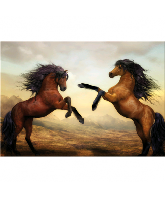 Cadre STEEDS G5904 PINTDECOR