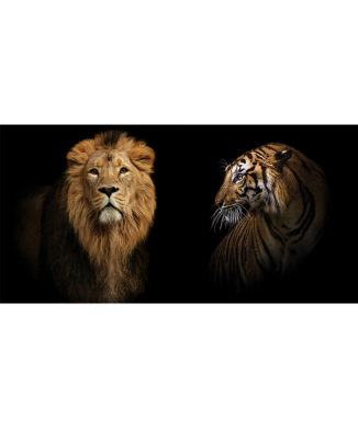 Cadre FELINI G3280 PINTDECOR